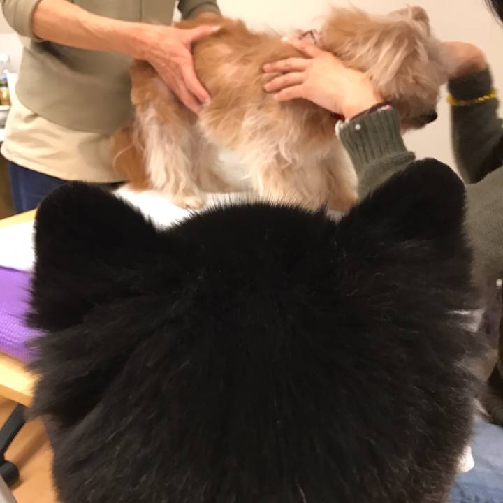 22dbefb1 51cf 4997 a14a b53e9891ead2 1545483951276