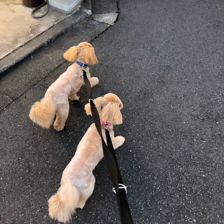 22dbfb4a 7868 4ae9 9914 7b54ac8fc0f0 1674879647380