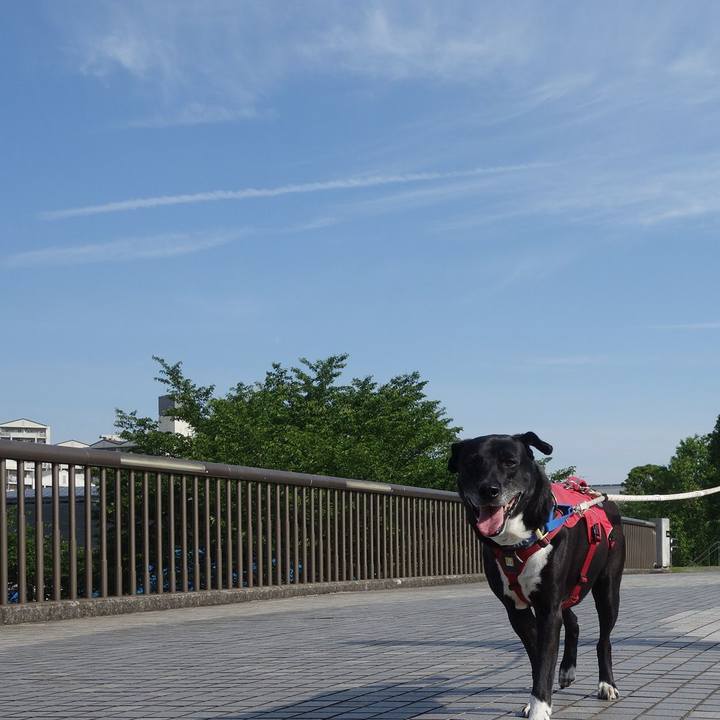 22dc1f13 6ee4 42e6 91ec 55326468b60a 1683592667720