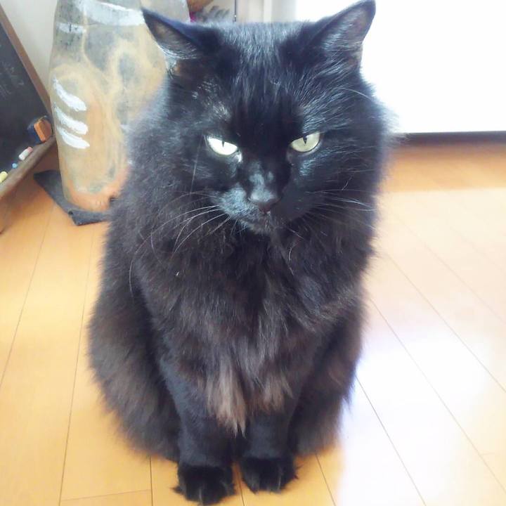 22dc45d1 d735 4622 a0ec 9d4cc2eda7e9 1573397504199