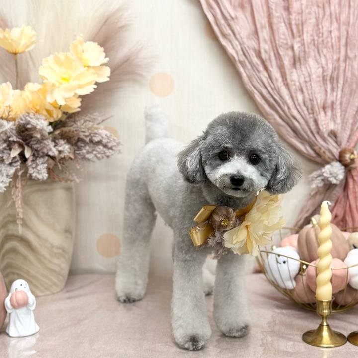 22dc5f80 84ac 4a43 a0d9 1d1388ff98c7 1761901241112