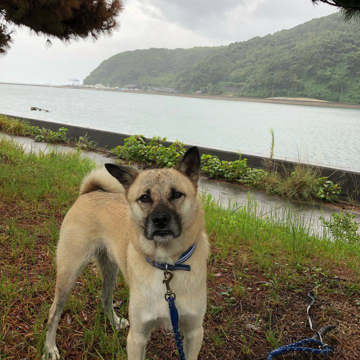 22dcba18 384a 4944 9aec ee3969a5b798 1538272068276