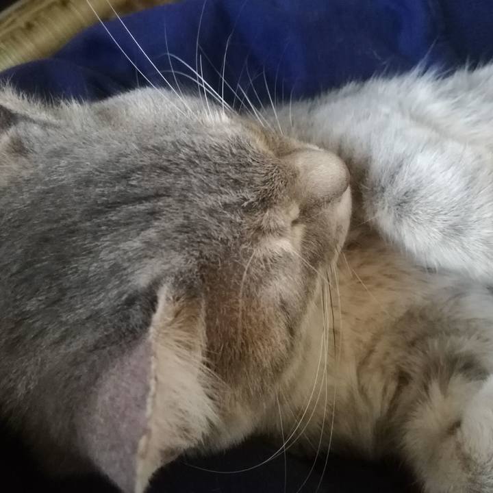 22dcdb6c abe9 408e bc89 d1e001a5ed0d 1543825596155