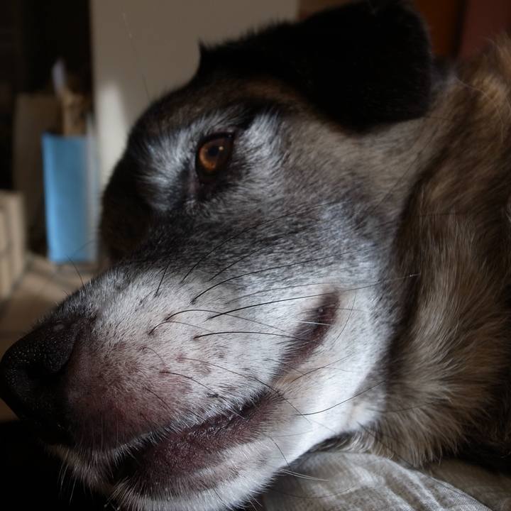 22dcdcbe f6d9 477e 95f4 6b4bcf3c314c 1592562769399