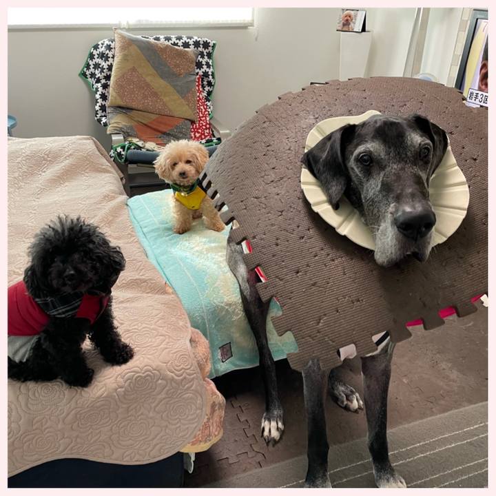 22dcf642 017a 424b ab07 811ae1c82ac4 1635719455314