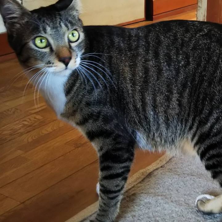 22dcf74c 599b 46ff 9b6a 36b47bd4c2d6 1604758607076