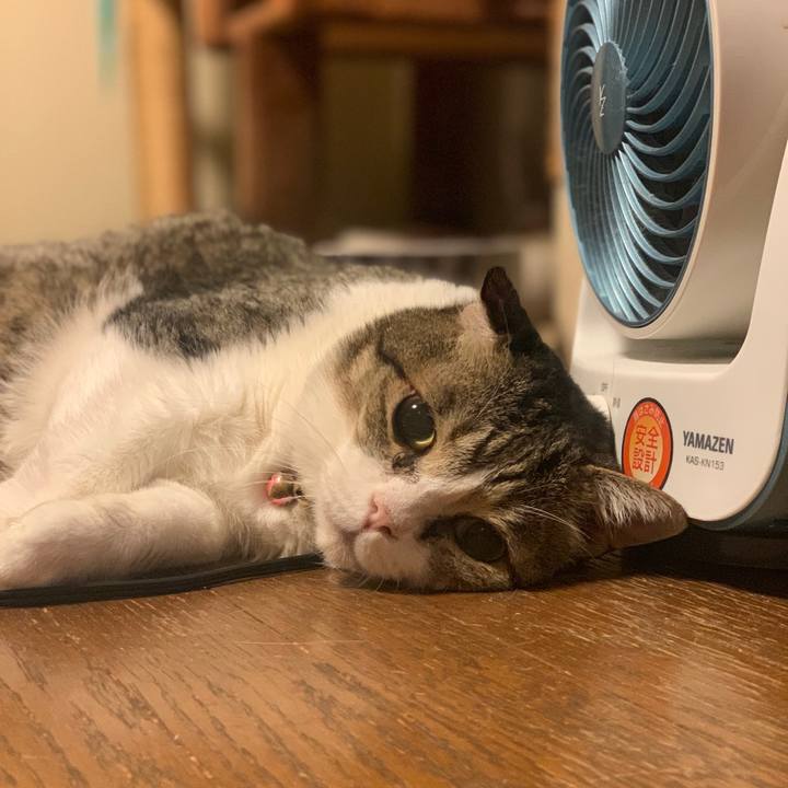 22dd1845 a2ee 47ac 8a3b ec9e666d33ff 1760877095987