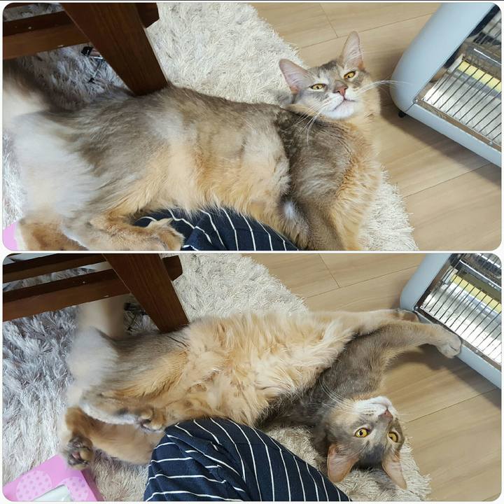 22dd98d3 edfa 481d 8634 bf494cac15ff 1555120478719