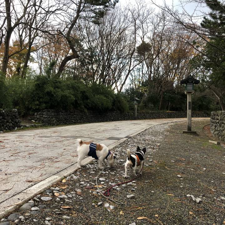 22ddc92d 99ad 49a7 9951 cd842822f132 1544315549376