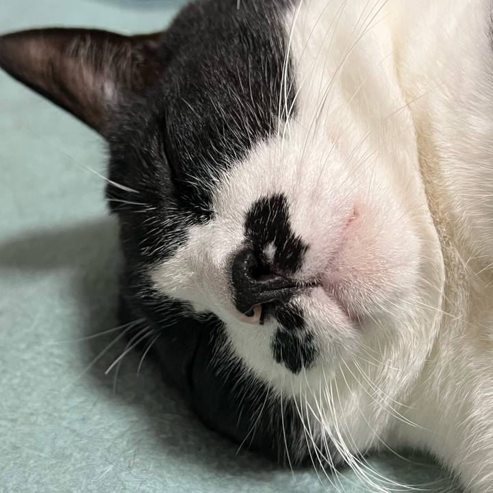 22ddf23d 619e 4485 803b 01b11aa381f1 1766300886784