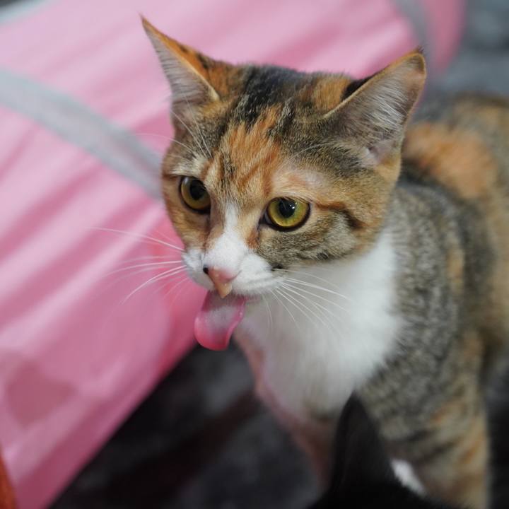 22de4744 a151 410c 8680 85180bb0a607 1579835007764