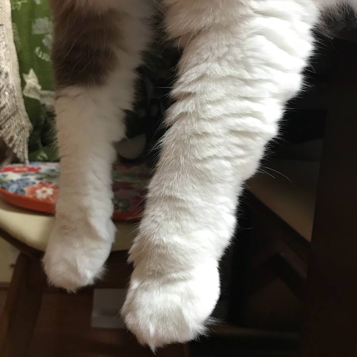 22dec32b 4561 4242 a72f e8c086bd3929 1518829526917