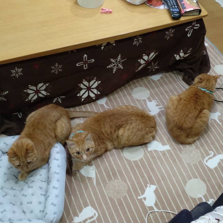 22deed08 3eb1 48fc bae0 1e6e60346b65 1736158044405