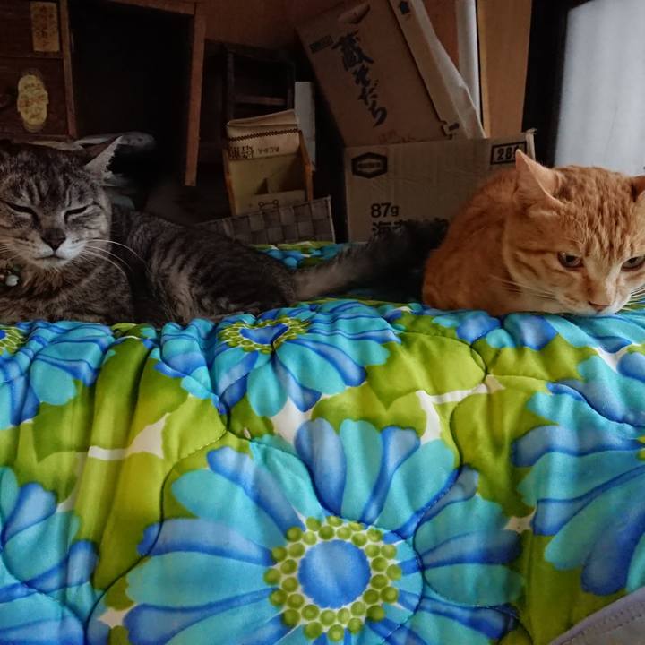 22df3d2a c599 40a0 aae1 c28cd3315a35 1561193785592