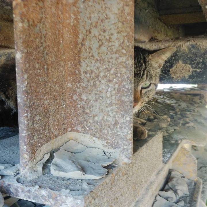 22df4653 160b 4aab 8057 cf65f94992b7 1590711376499