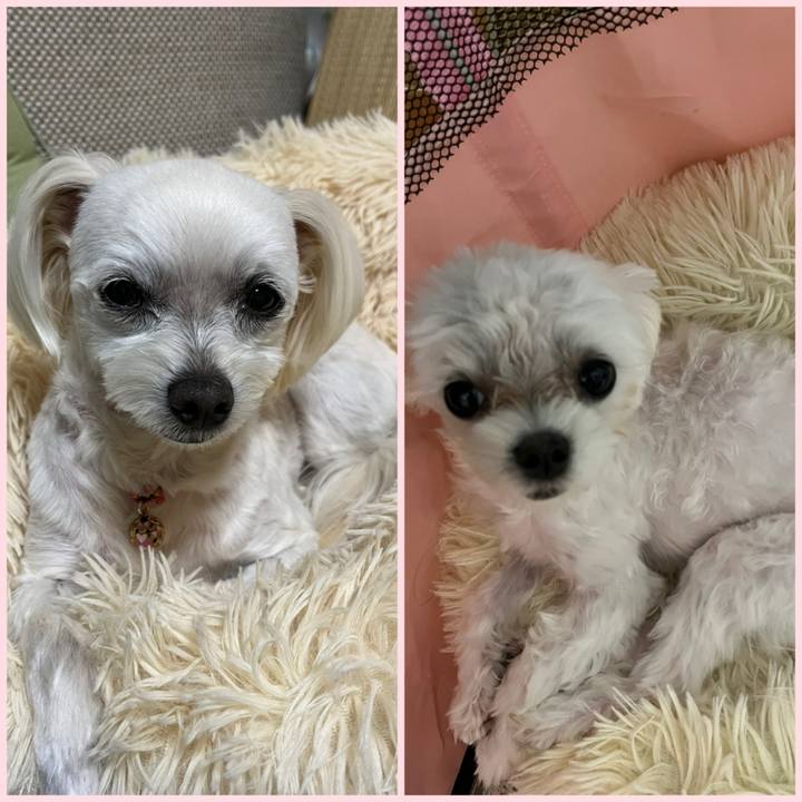 22df47d5 b8ab 4ba5 b200 a00dc923e1a5 1715952468951