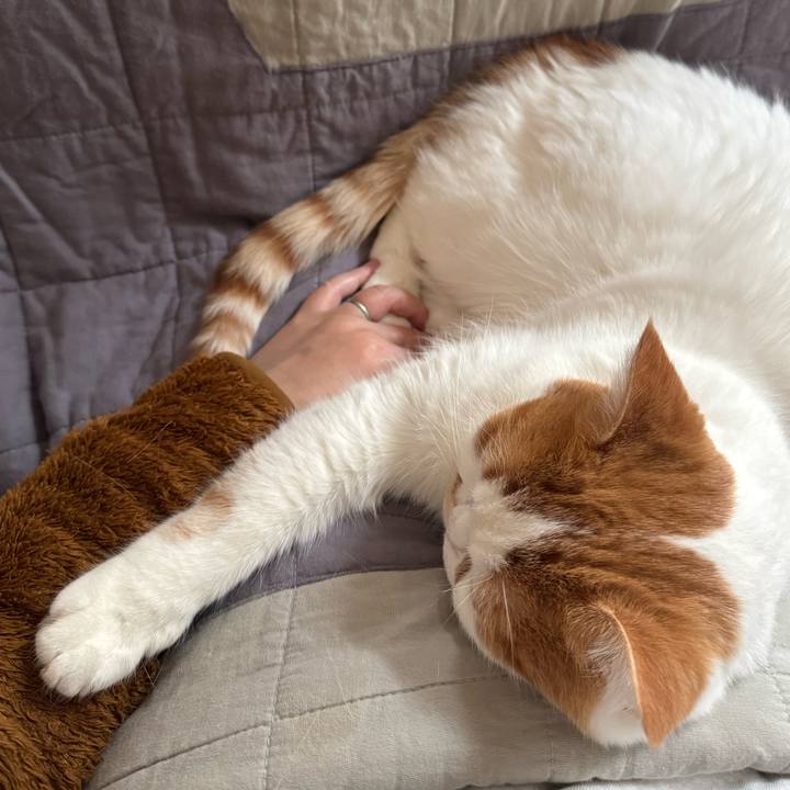 22df562d ded8 4bbe 82b9 695d9a81ffce 1761309263167