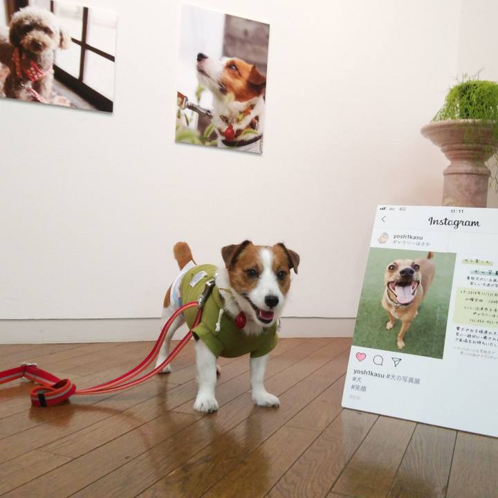 22df9f6f 6cfd 4b13 98dd b0542a0e065c 1542105607301