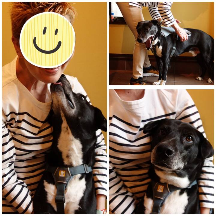 22dfd0f1 f75f 4a0d ac49 f2d2d93c8ae4 1713190361239