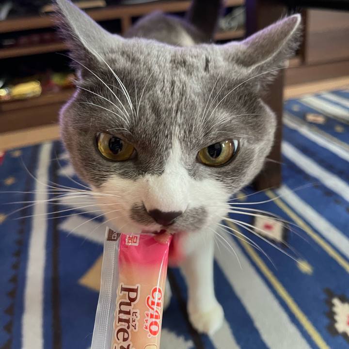 22e0074f a454 4f9b 9794 131312dabd11 1662963019567