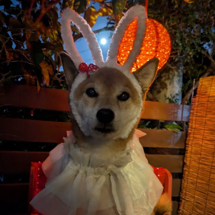 22e044aa cf78 43a5 b29a 170af0e17a77 1726568413343