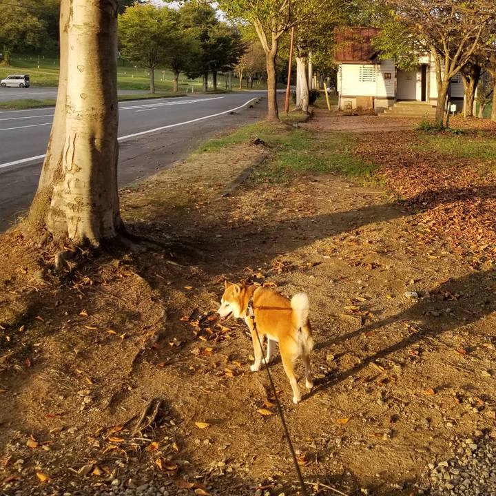 22e0584d 7184 4699 911d b072ed0be2b1 1633420029782