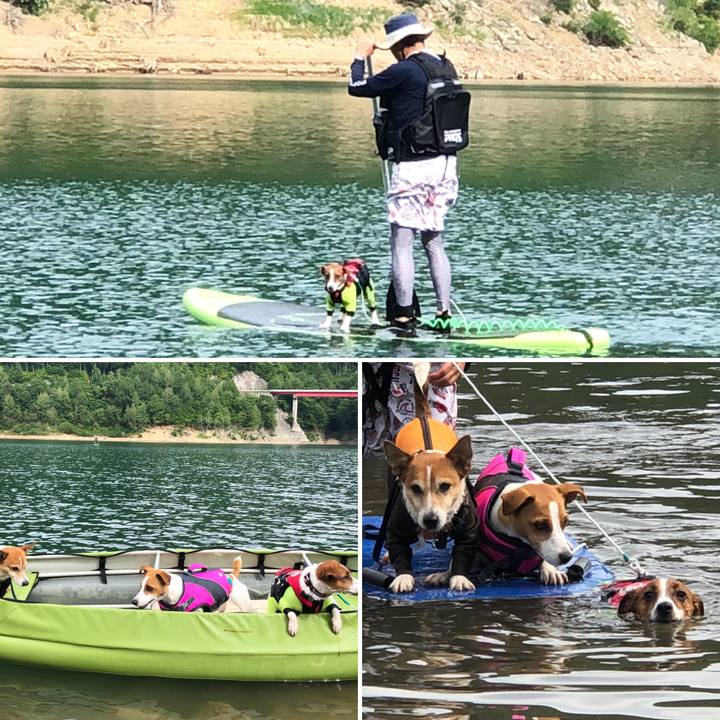 22e0a1aa 022d 44d4 a505 172782aac6b8 1534724611342