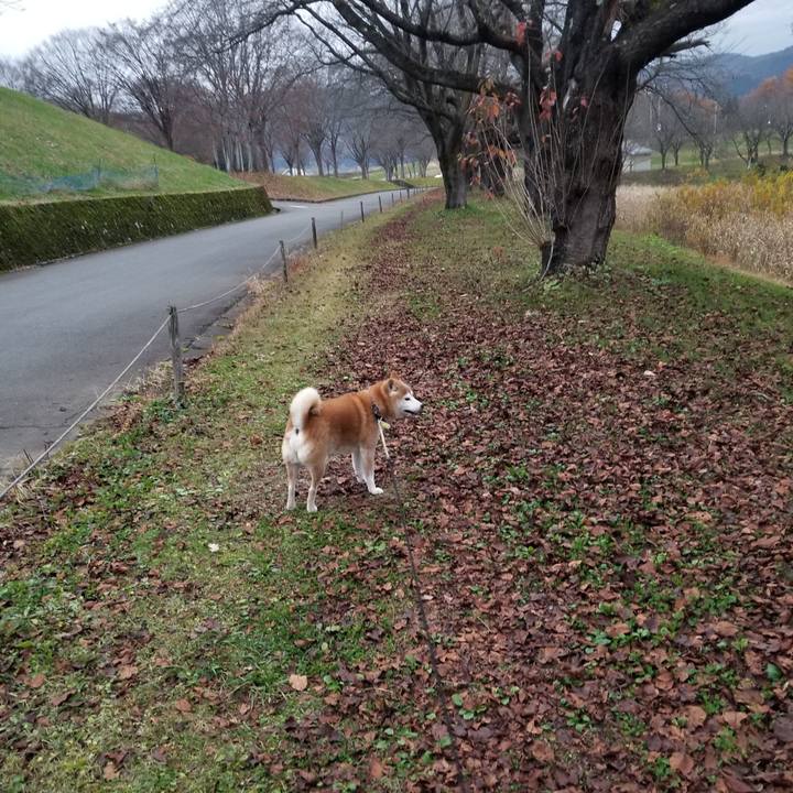 22e0be32 33c5 44ad aeee 0e364b4d19d9 1669101591486