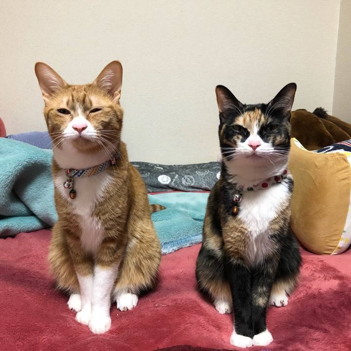 22e0c81b 97f1 4d4f 9339 75bc46c3a16e 1585308411427