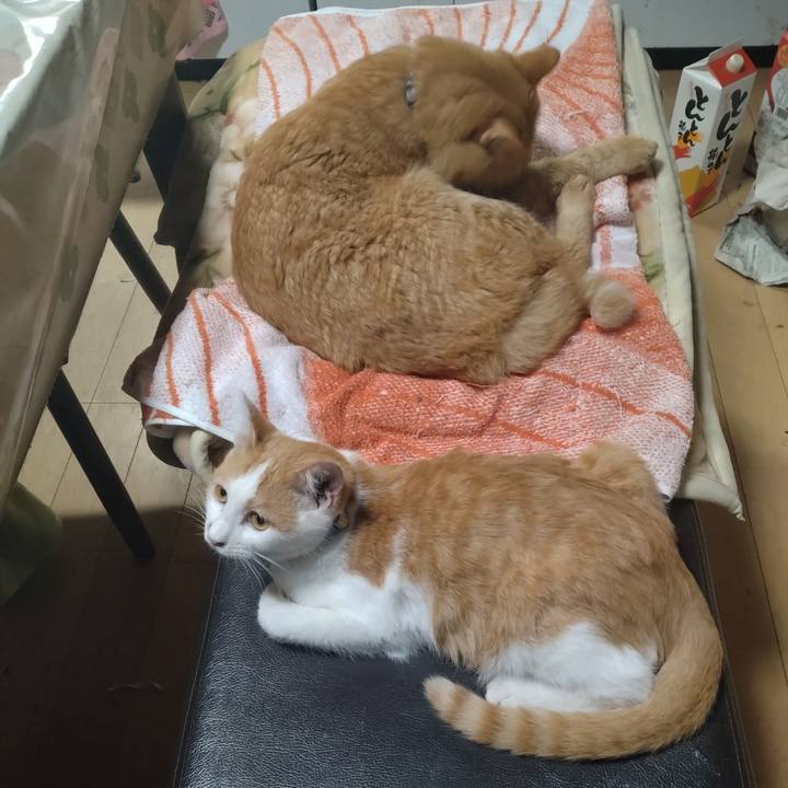 22e0dc38 f6fb 494d 8efe abfae1b34793 1732188109423