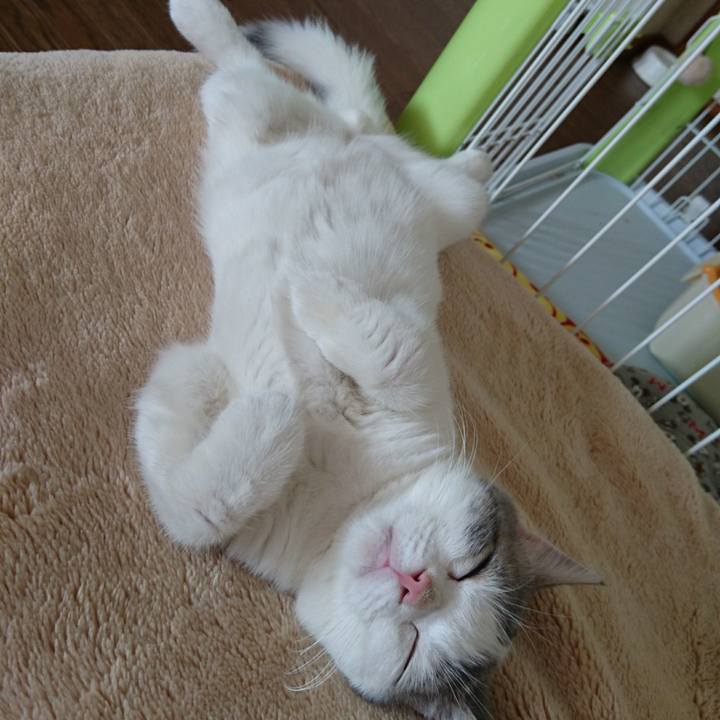 22e151ae 3ab6 430c a2f0 2460c9a182fc 1532662525356