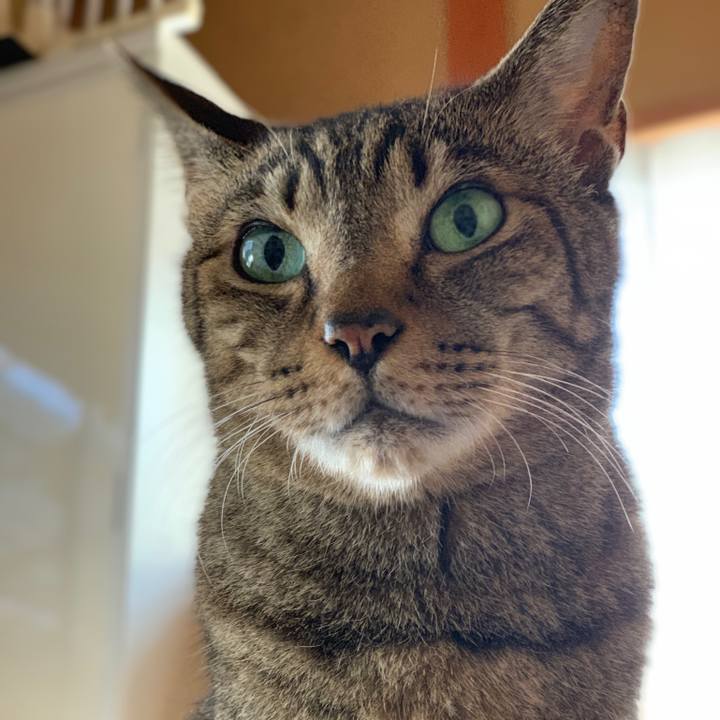 22e15bbf 2576 4647 bcaa 64b832bcf076 1541637895950