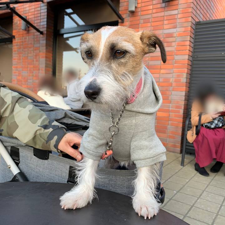 22e1897e 8bc1 4ee4 adb7 68a5db7fb198 1613300136060