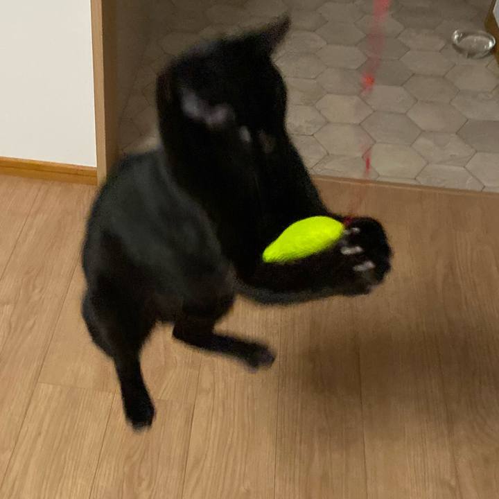 22e1aa0f f3ad 42b9 bbfe e0f7932918b1 1620309070671