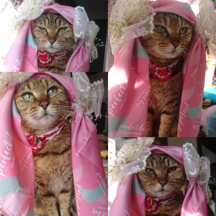 22e1d7ce b7d4 4239 90ca 14d634cb37ba 1770163462053