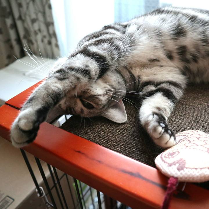 22e21521 ebd3 4604 b046 16e8c1ebb3be 1583312143700