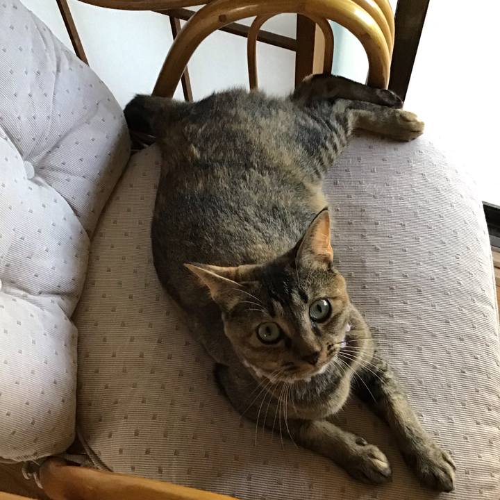 22e26723 c6af 40ec 8686 46b3a7deb3bf 1597538965589