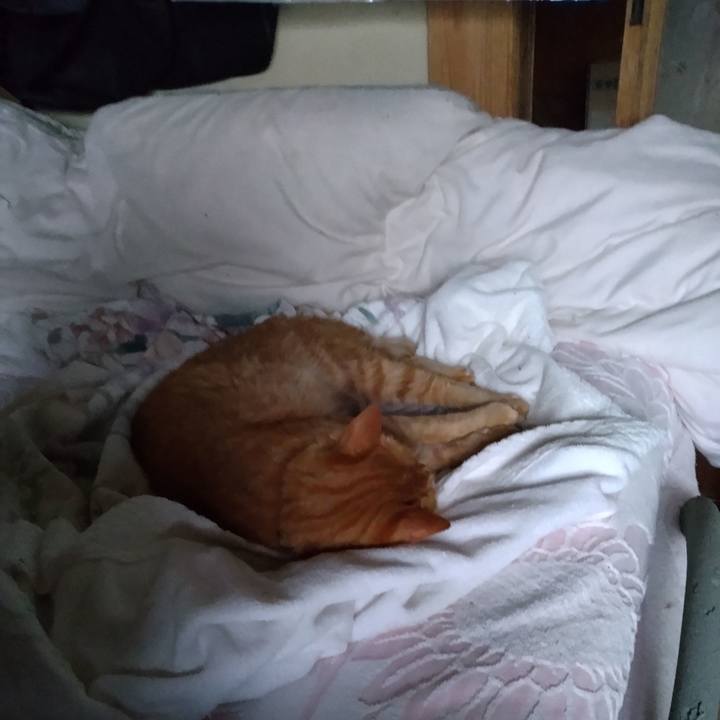 22e274ce 80ac 4c78 bf80 a9d22d802121 1720561571834