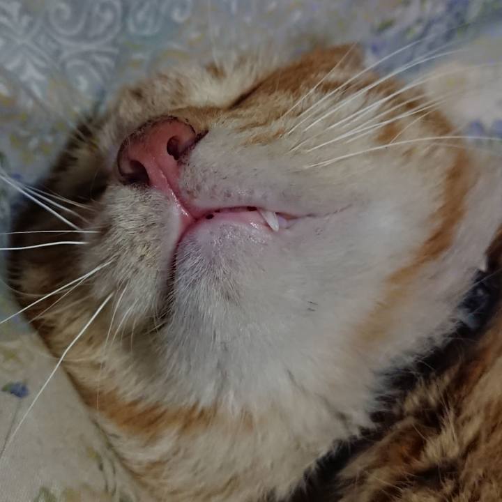 22e2cf7c 1edc 418e a44c 496c281b2e12 1658206531993