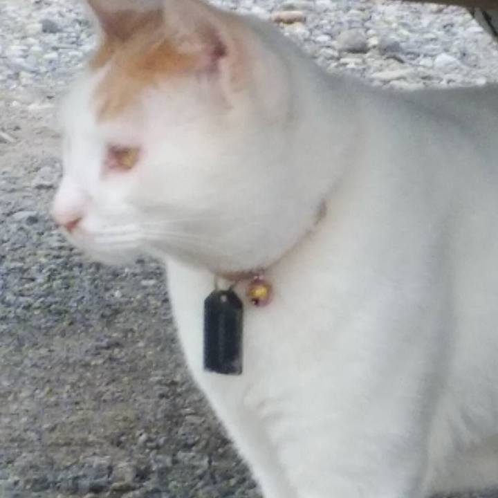 22e2d11b 9811 48ca 81f3 7d11b3083661 1567472549390