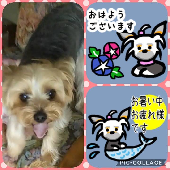 22e2fdfc 761b 40f8 b19f d1befe43168d 1595915178532