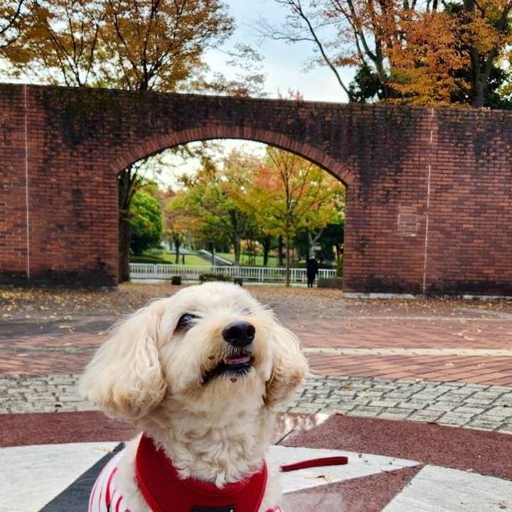 22e323cb d17f 44d0 a7c8 a3e266992286 1763353682689