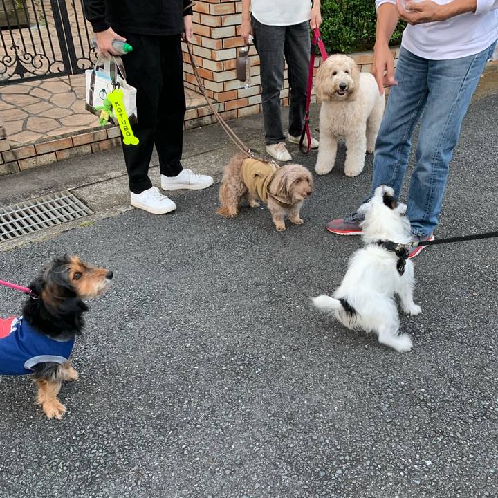 22e3482a f8e5 4782 b205 7cf2147b56e0 1665821772317