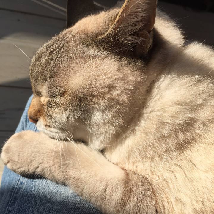 22e37afd 6d6f 41e2 aad7 d9a523fb4321 1521848980217