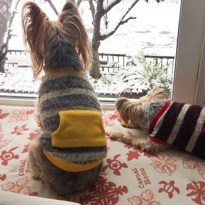 22e38494 46b3 41f0 9374 1013beb1376e 1542943269182