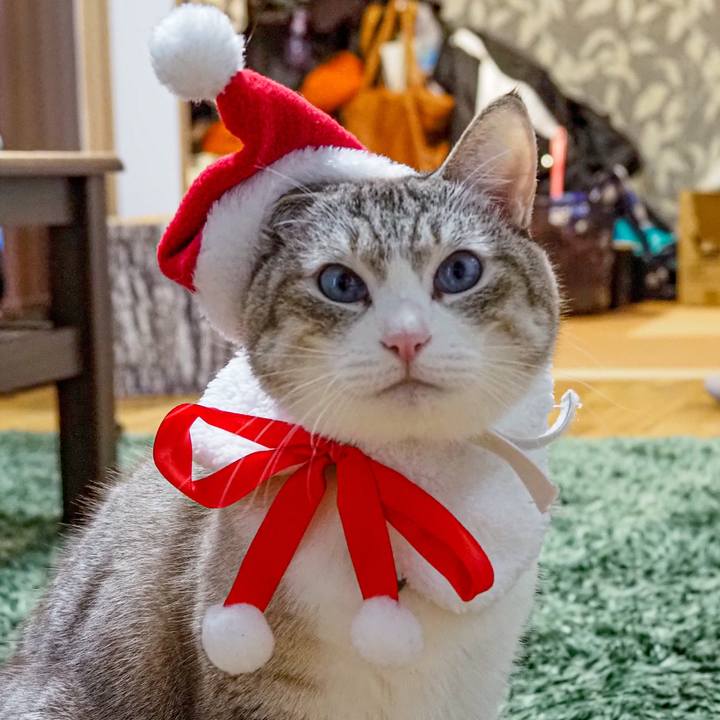 22e3a246 0536 4c85 a582 a222c8f158ec 1640346073990