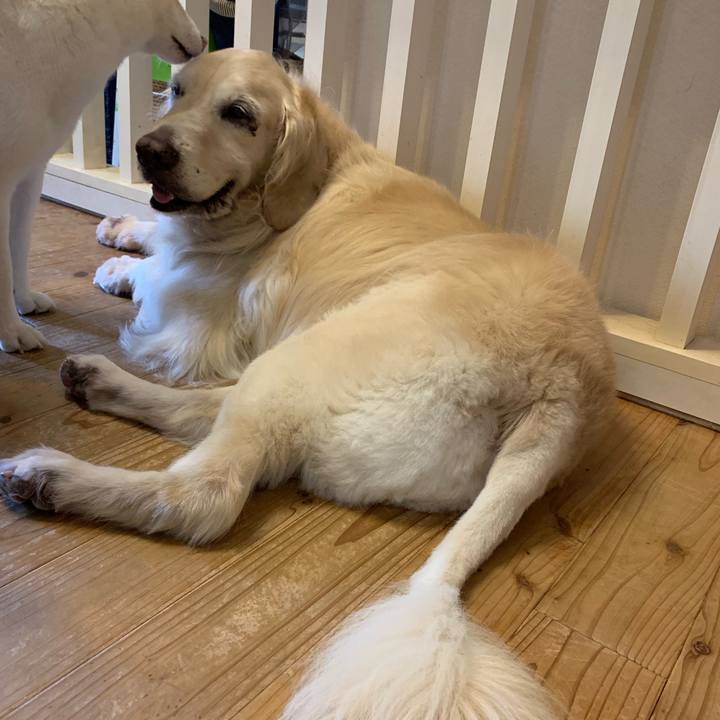 22e3b3fe f1cb 4edf a790 7cf0a411d95a 1563230431576