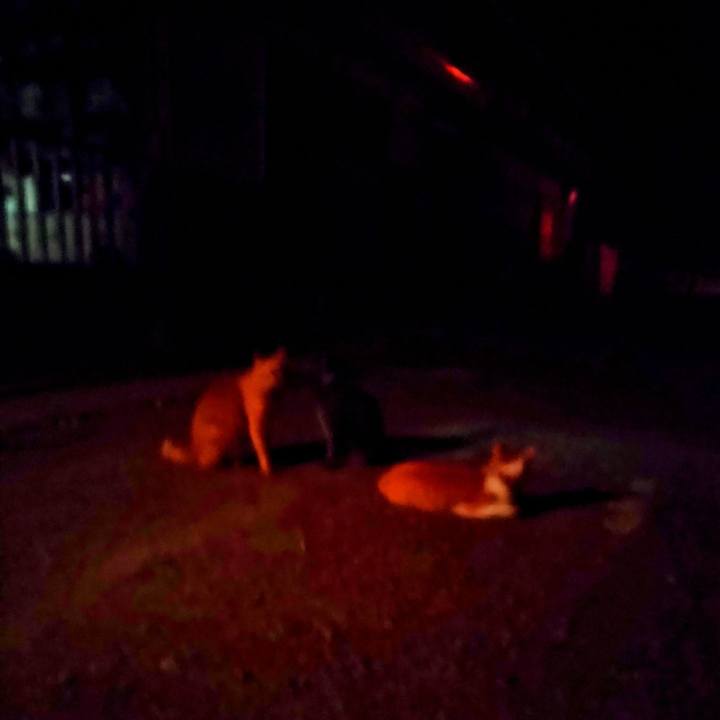 22e3bdce 8e91 44dc a1a8 f2c021540212 1755955185956