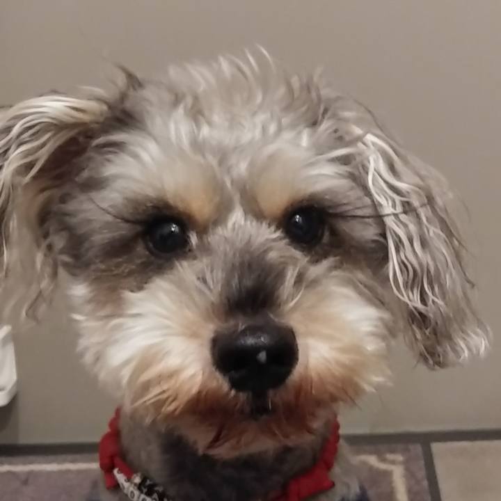 22e3cdc4 97ac 47fd b8e3 5bd67e3ed82f 1670193185193