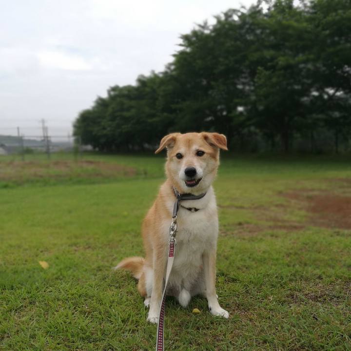 22e3d9b4 d6d7 48ae b334 8813947ab0b5 1528882791859